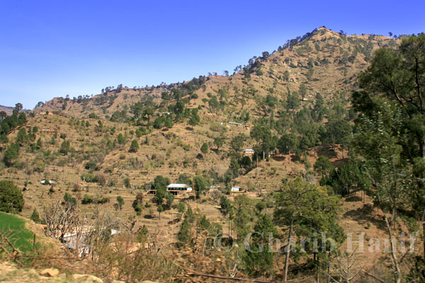 Village near Chechhan