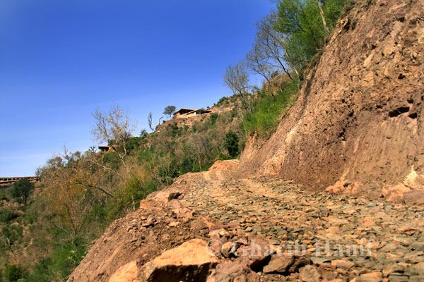 Village