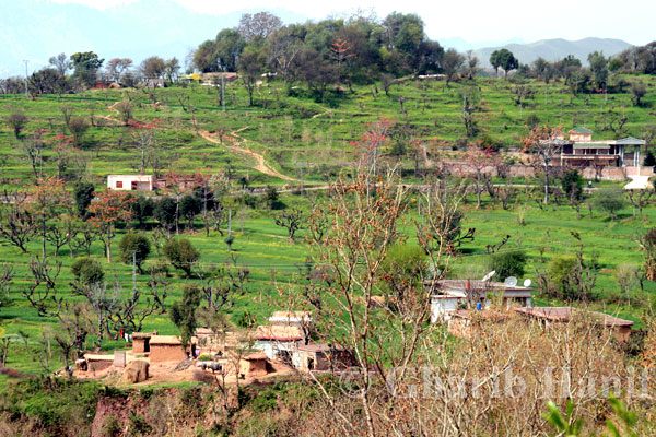 Village
