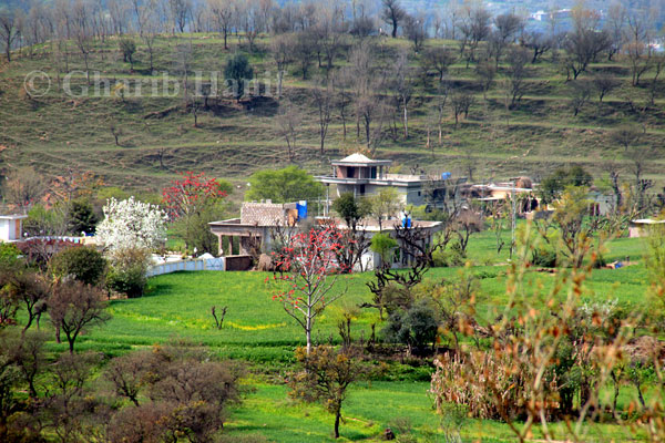 Village