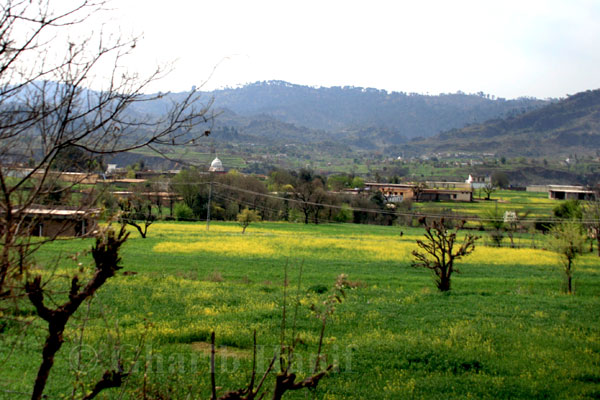 Village