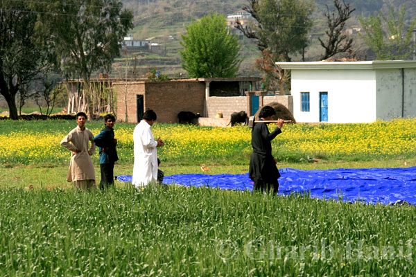 Village