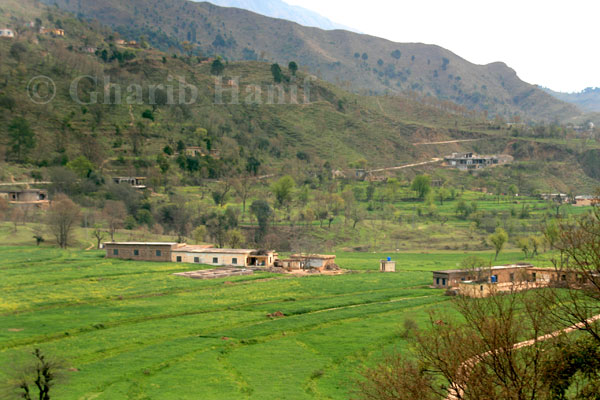 Village