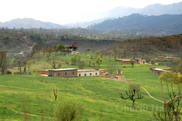 Village