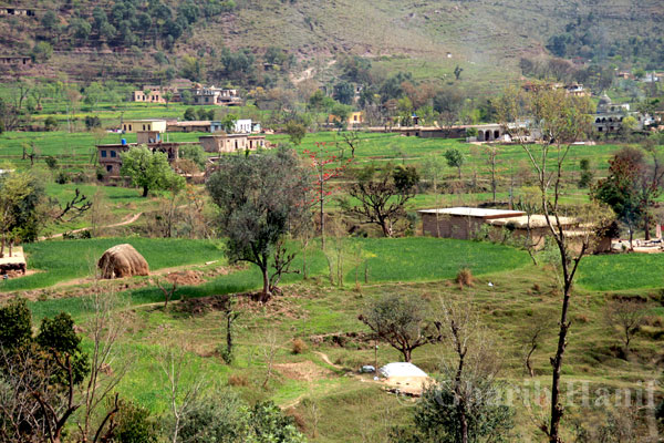 Village