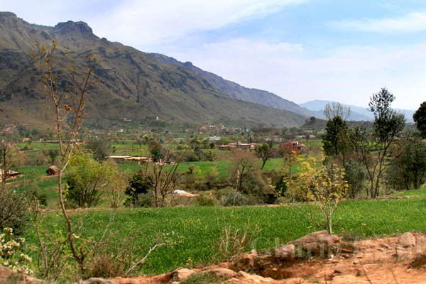 Village