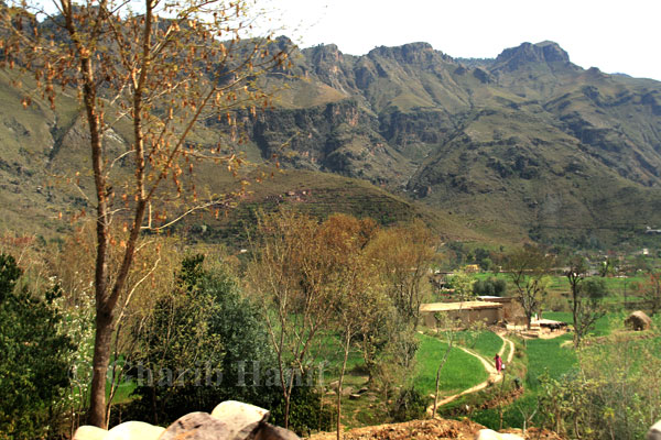 Village