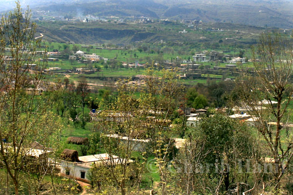 Village