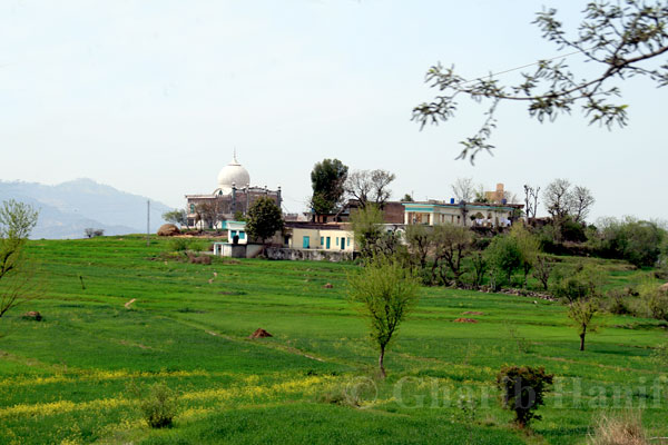 Village