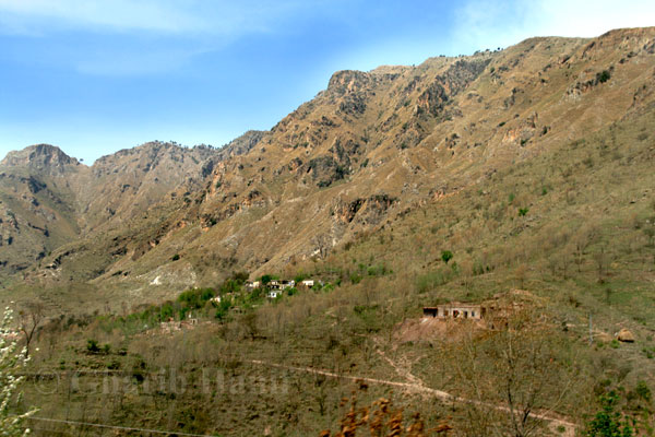 Village