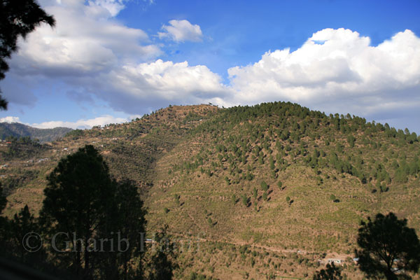 Mountain