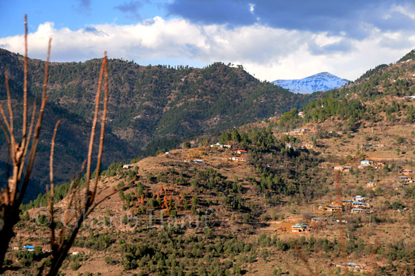 Mountains