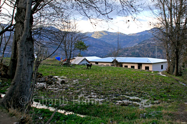 Village