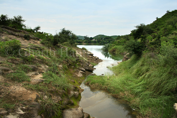 Stream