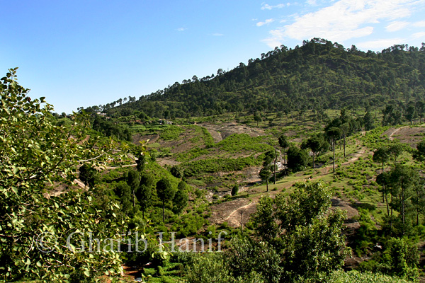 Village