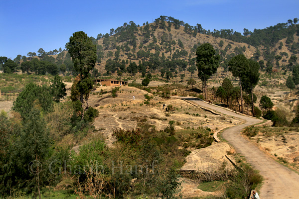Road