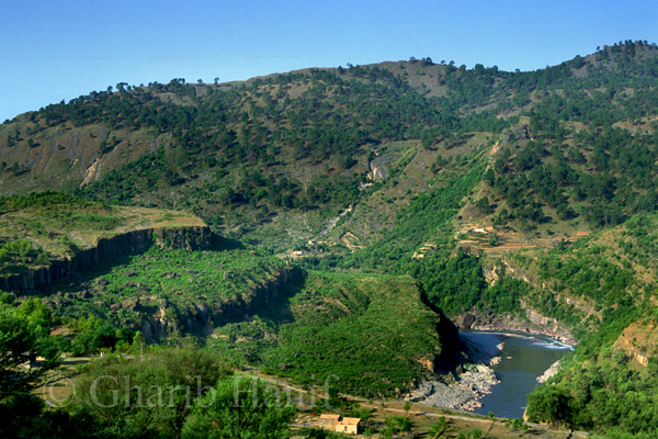 River Poonch
