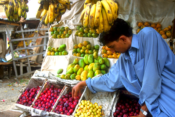 Fruit vendor