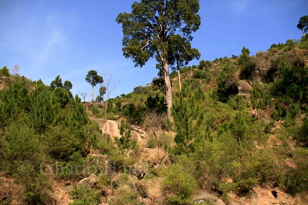 Mountains