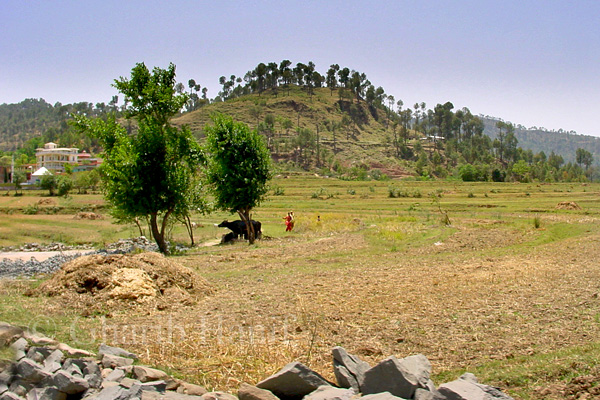 Village