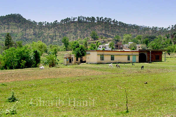 Village