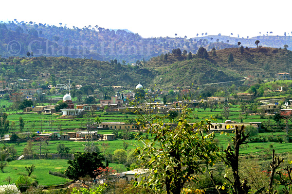 Village