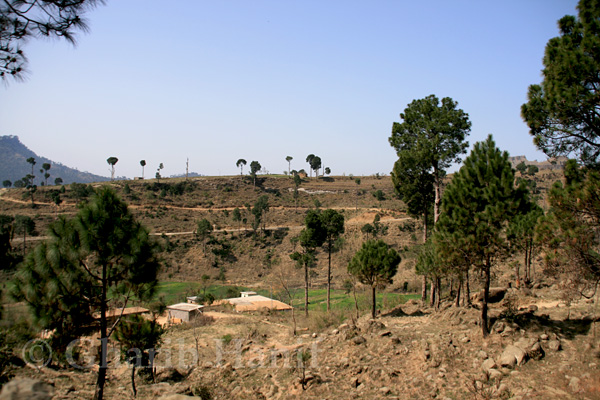 Village