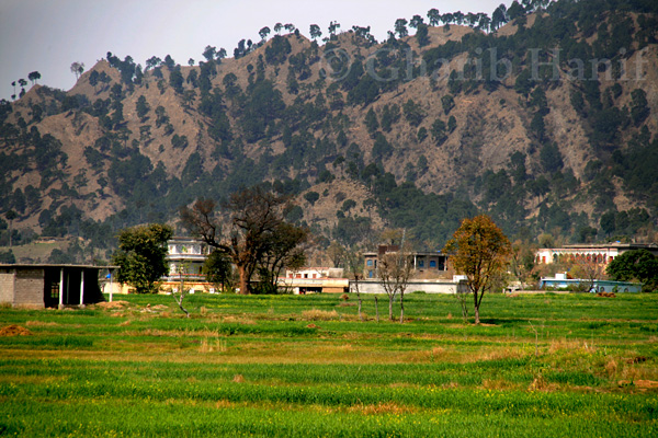 Village