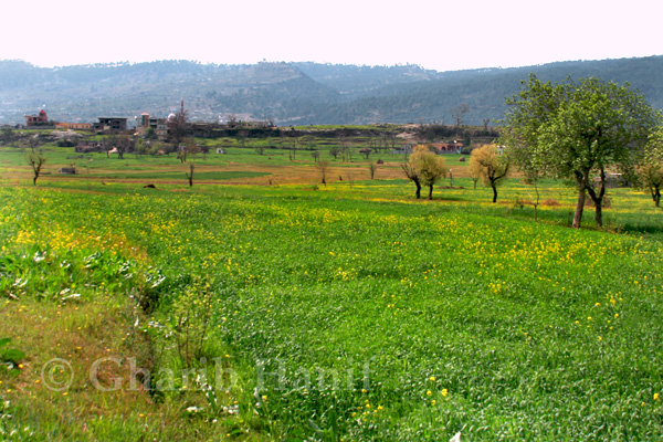 Village