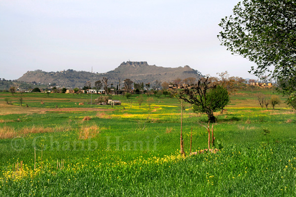 Village