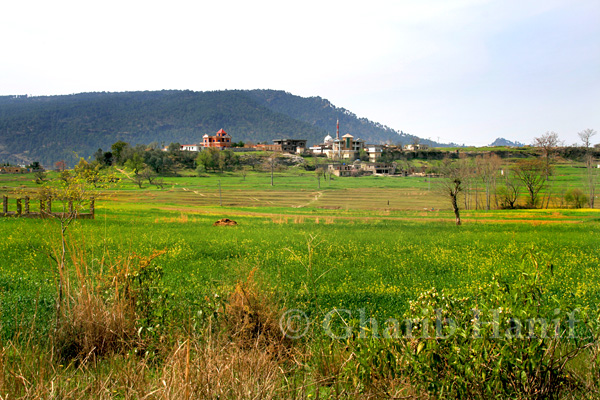 Village