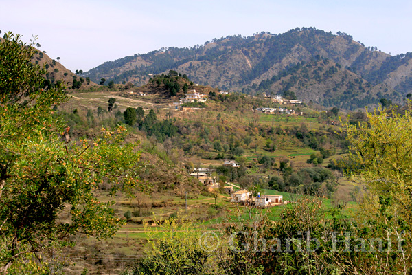 Village