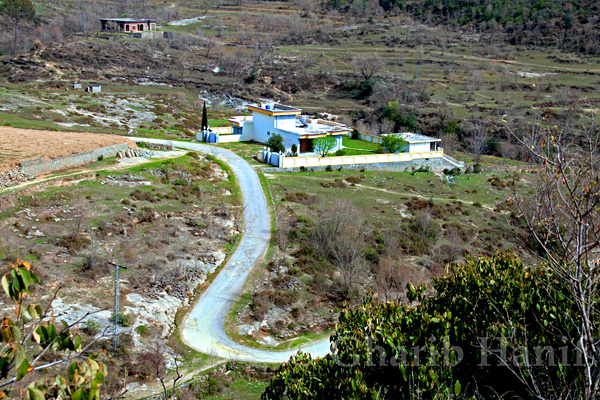 Road