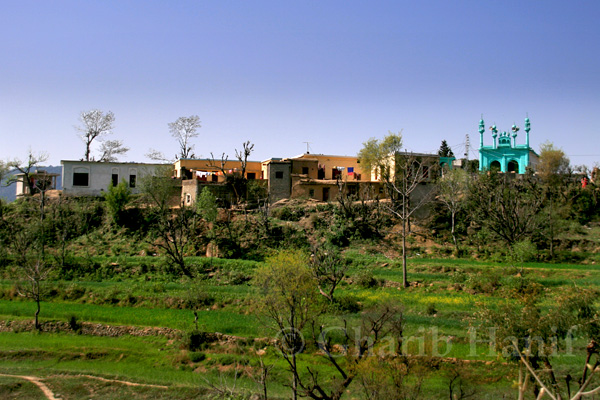Village