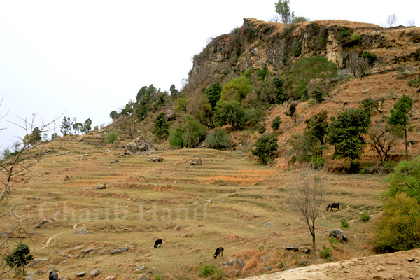 Village near