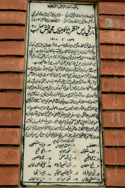 Plaque