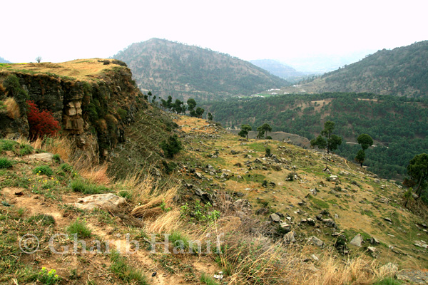 Village