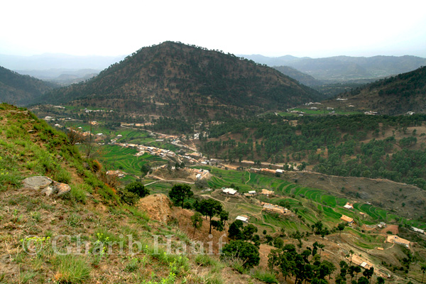 View of Siah