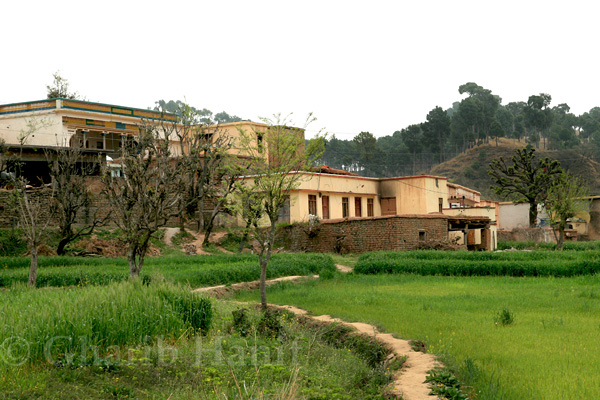 Village