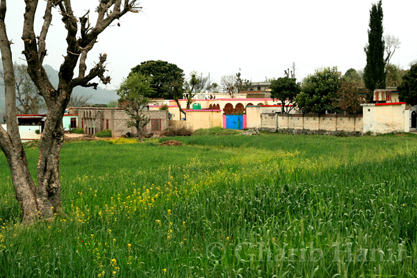 Village