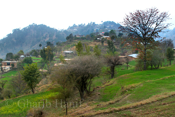 Village