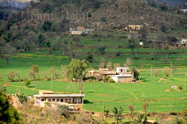 Village