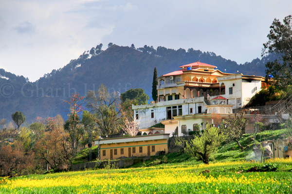 Village