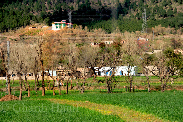 Village