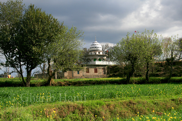 Fields