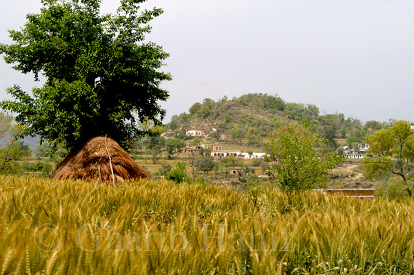 Village