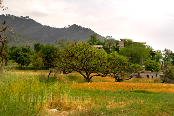 Village
