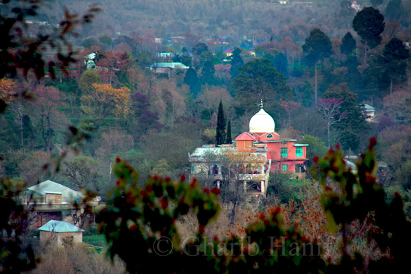 Village