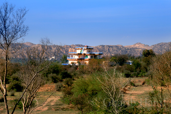 Village