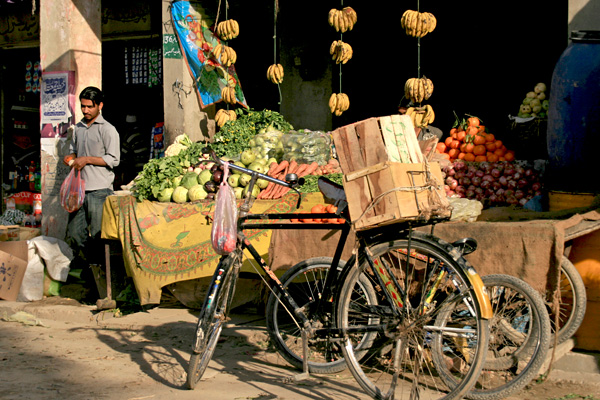 Fruit shop